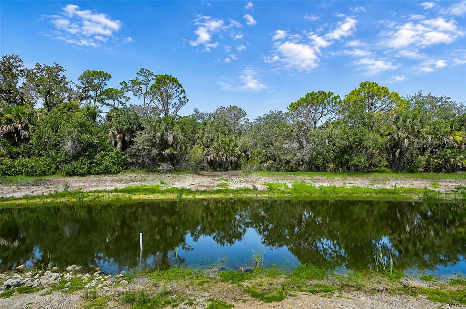 11691 BREADFRUIT LN — photo 49