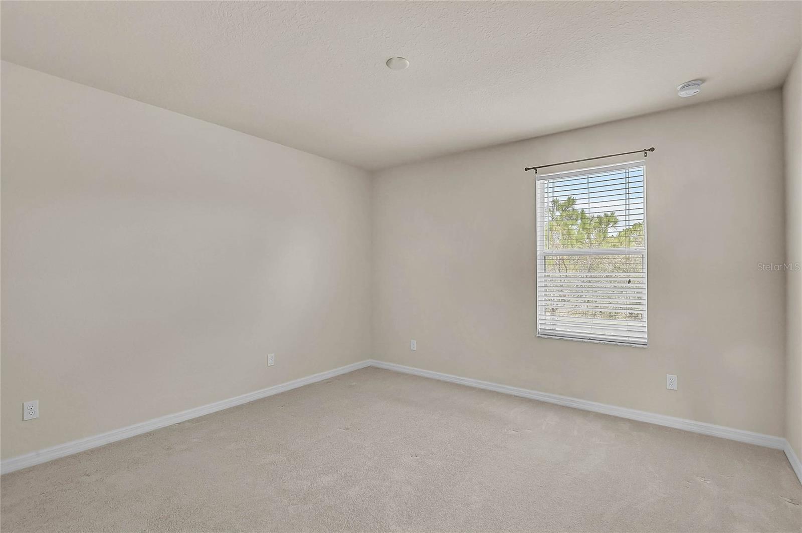 11691 BREADFRUIT LN — photo 29