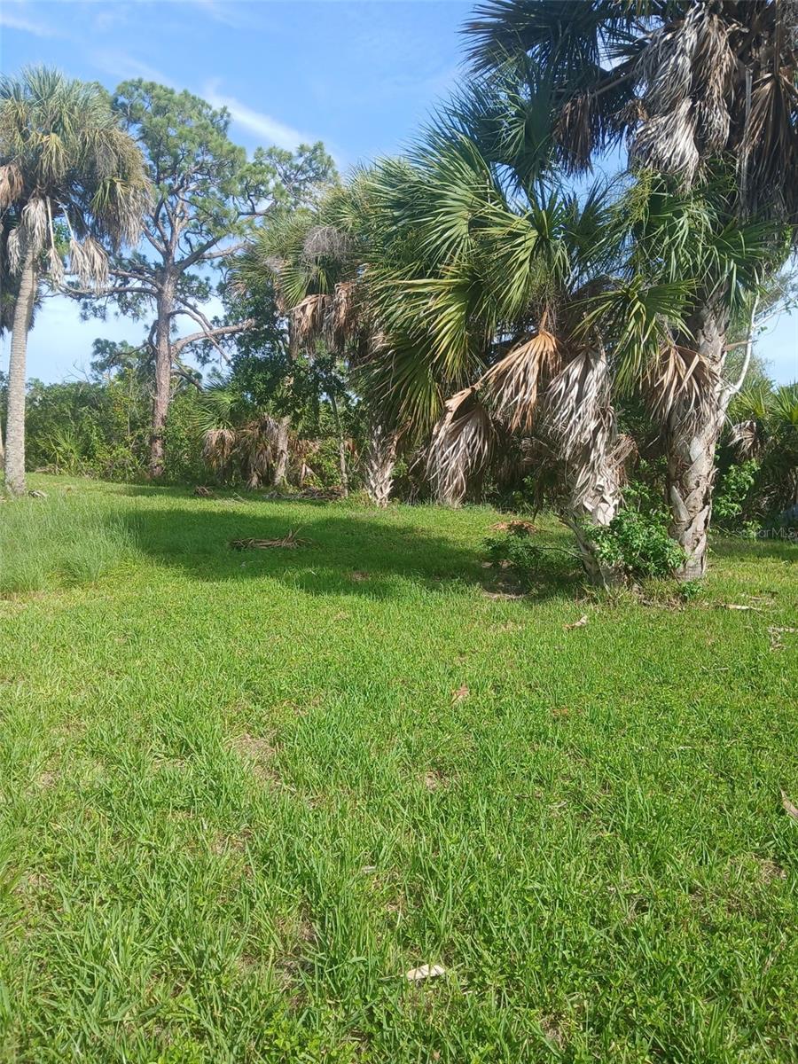 HILOLO LN — photo 3