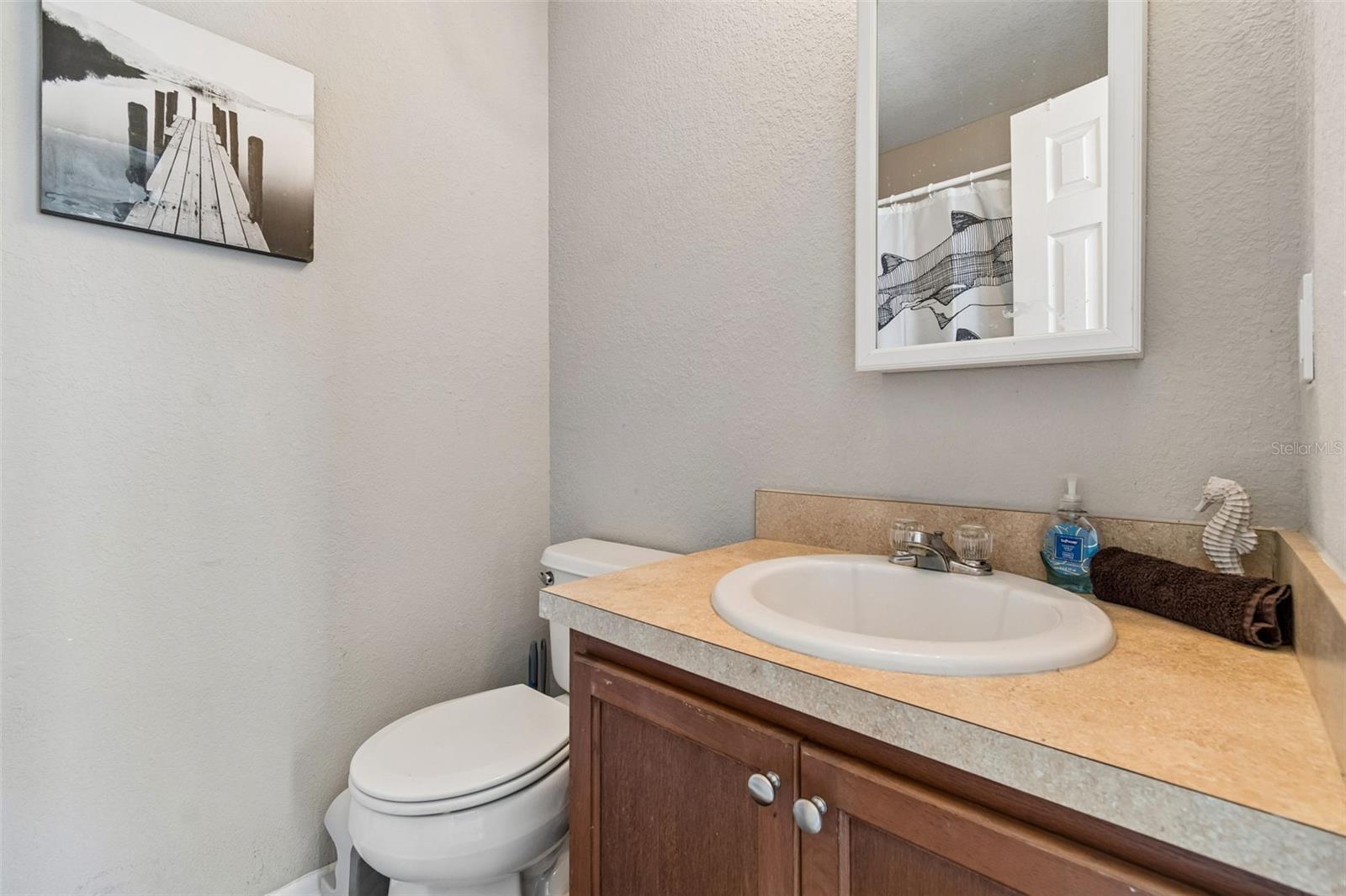 4755 TUSCAN LOON DR — photo 20