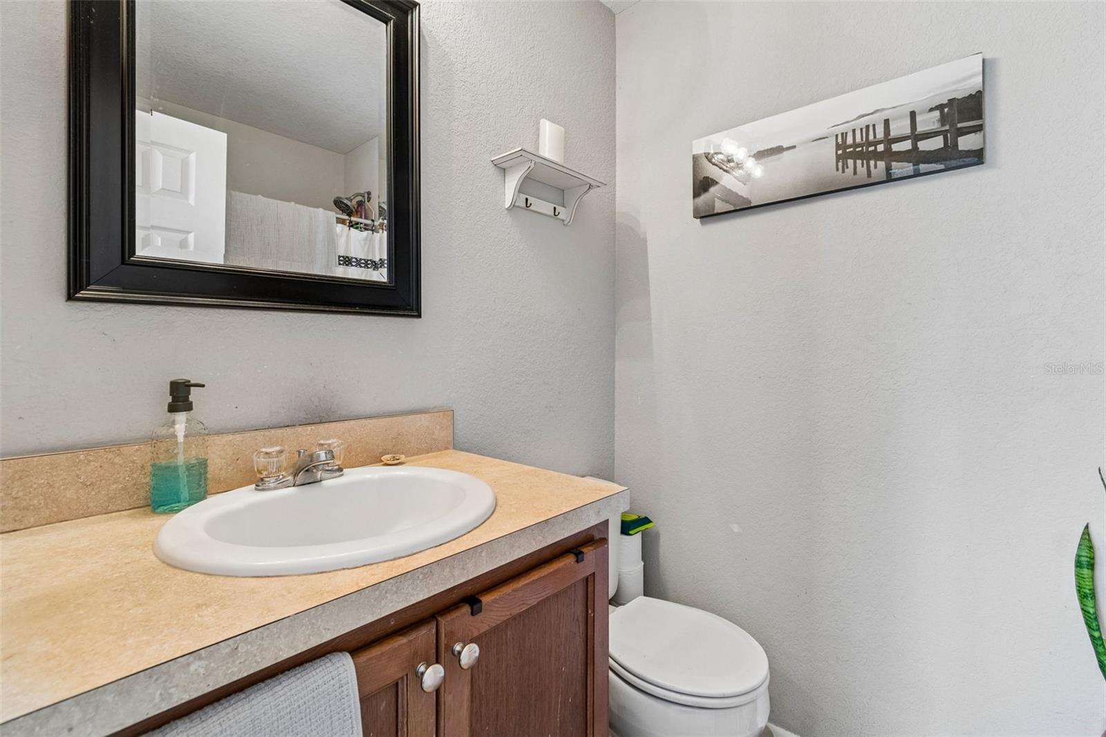 4755 TUSCAN LOON DR — photo 17