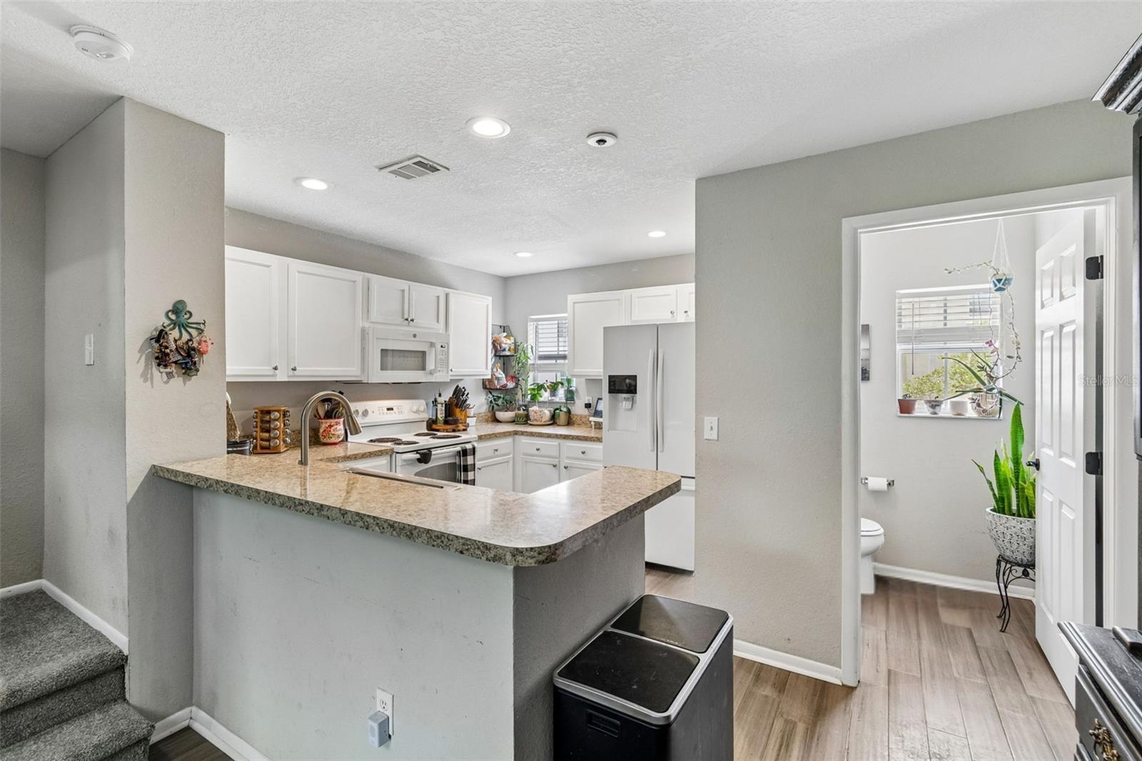 4755 TUSCAN LOON DR — photo 11