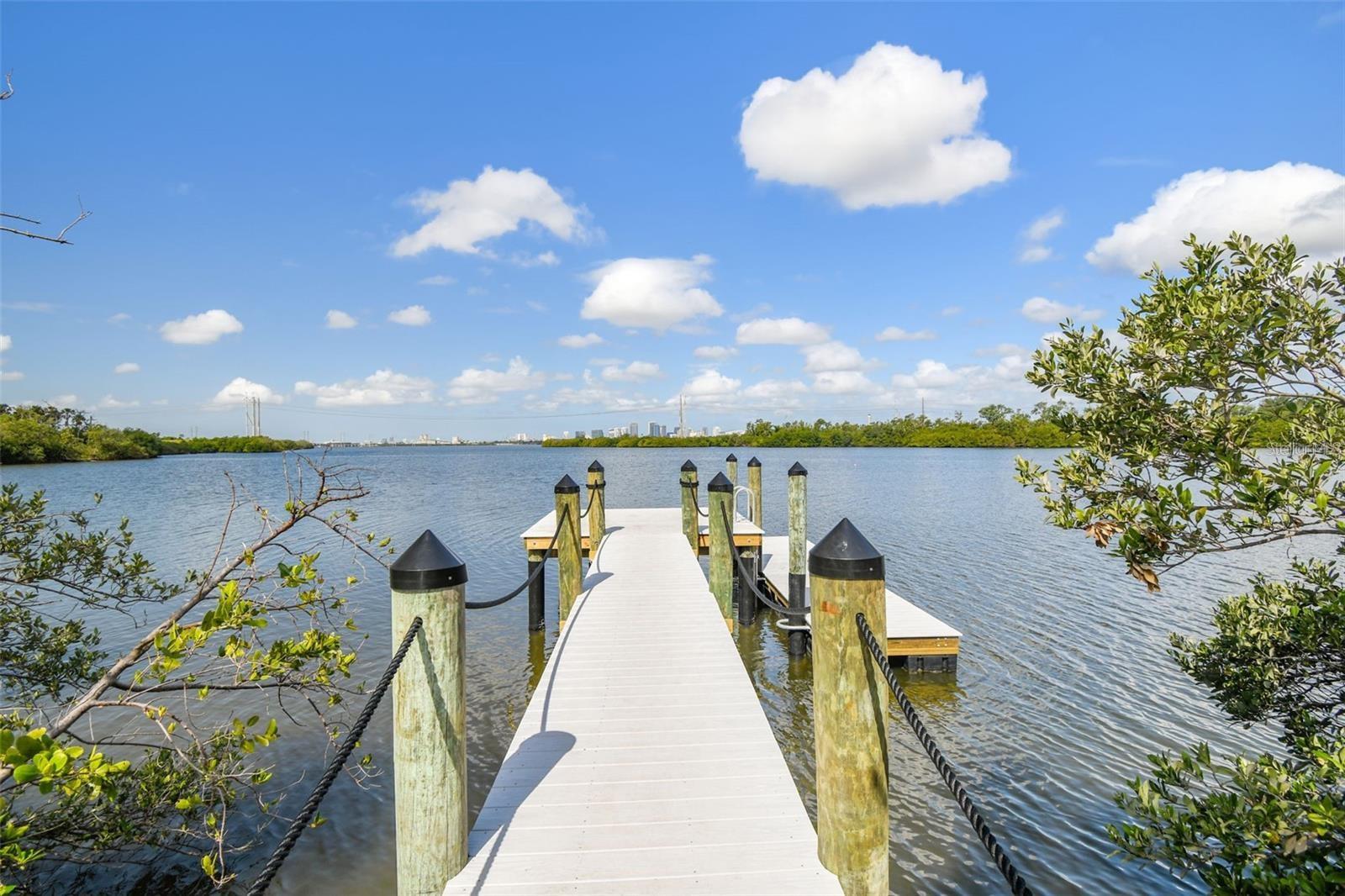 4755 TUSCAN LOON DR — photo 3