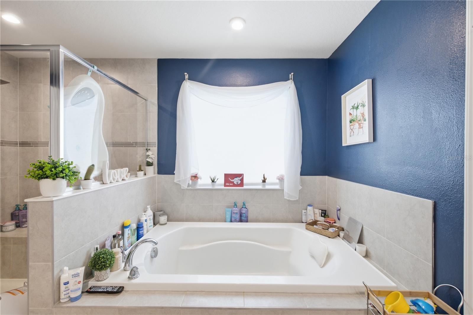 10188 AGAVE CT — photo 32