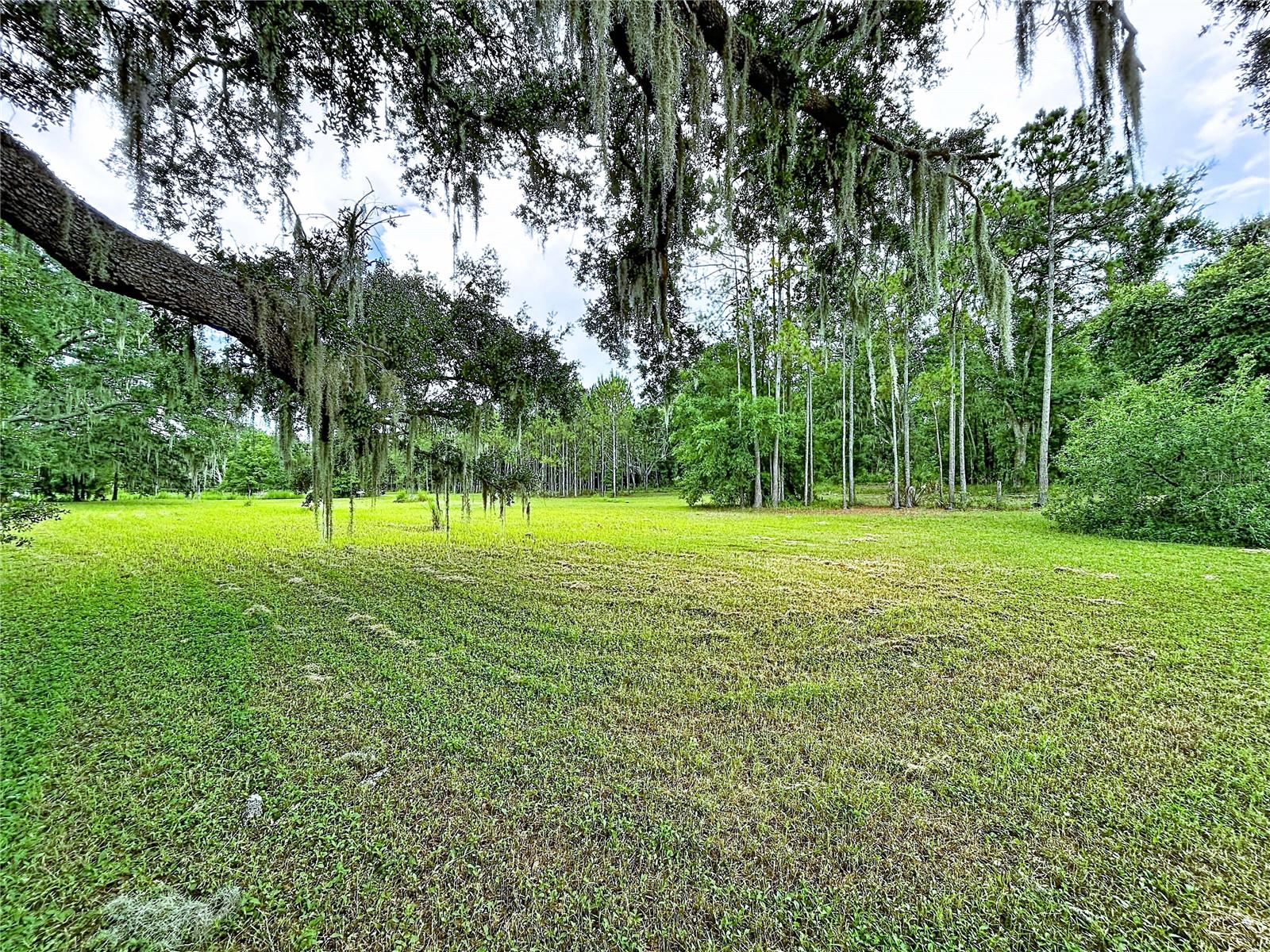 16605 HAPPY GARDEN WAY — photo 14