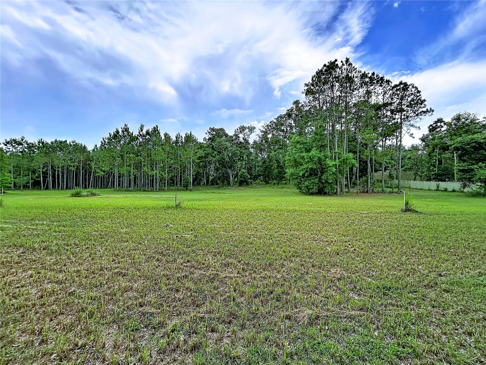 16605 HAPPY GARDEN WAY — photo 15