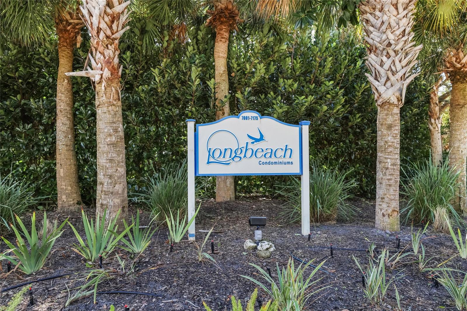 7001 GULF OF MEXICO DR #24 — photo 40