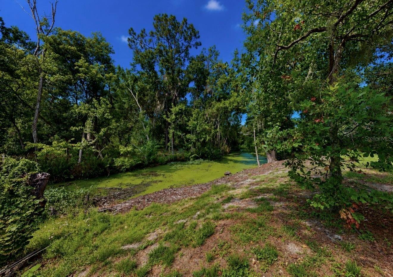 1005 HIGHGROVE CT — photo 29