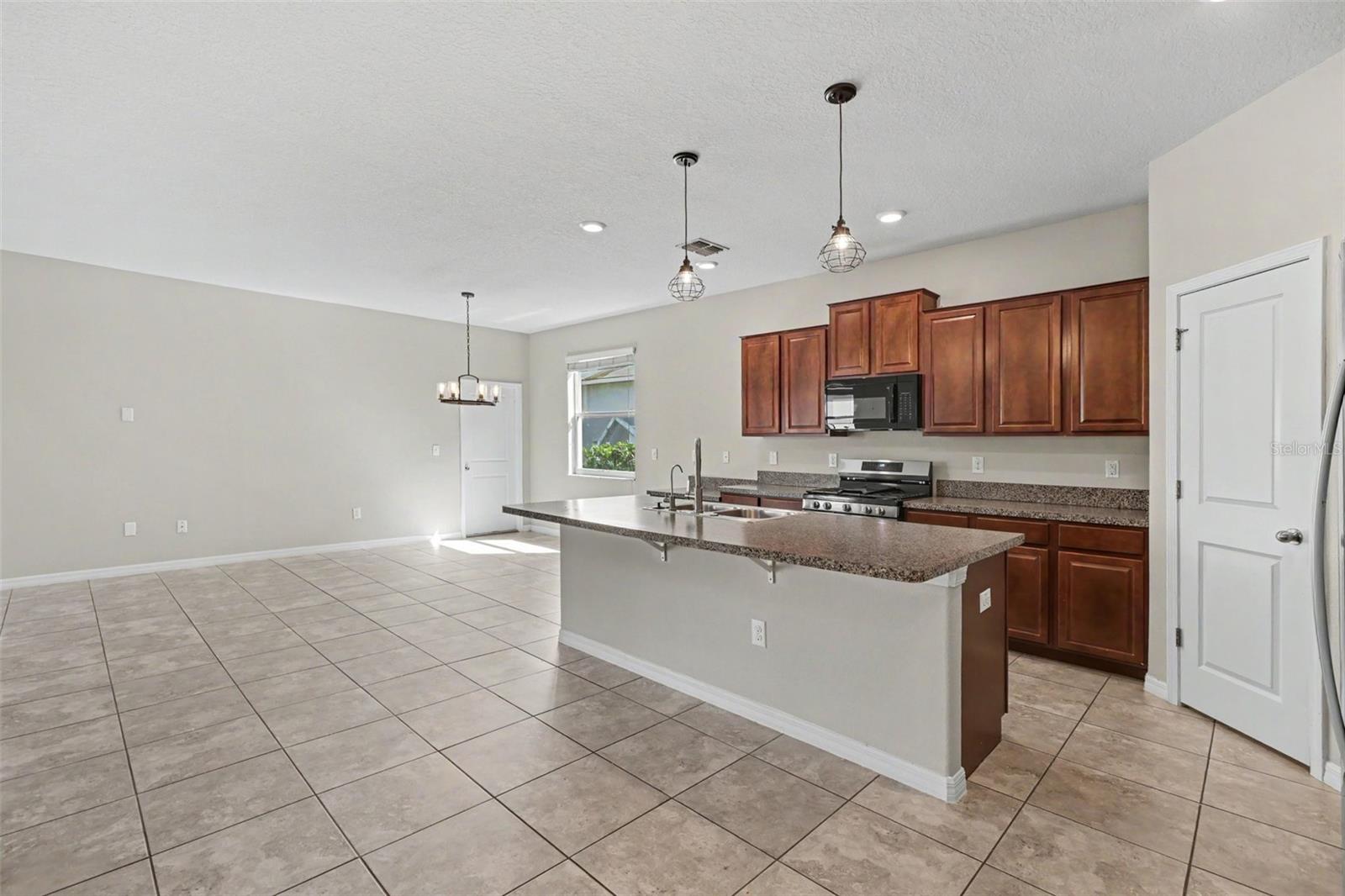 21087 PLEASANT PLAINS PKWY — photo 13
