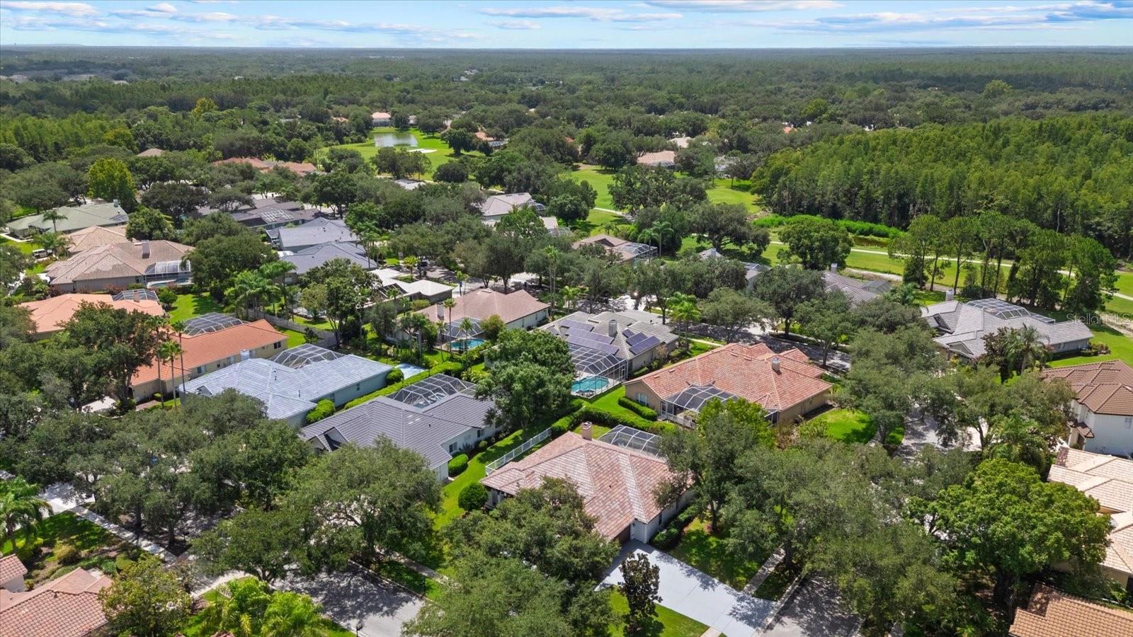 9145 HIGHLAND RIDGE WAY — photo 44