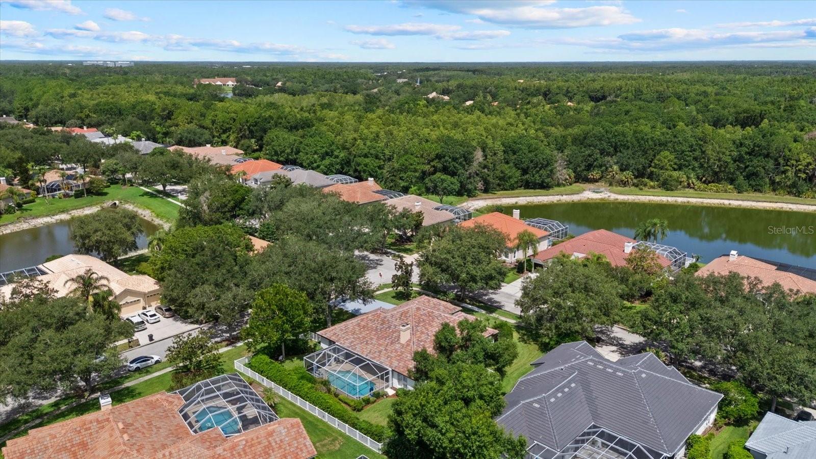 9145 HIGHLAND RIDGE WAY — photo 48