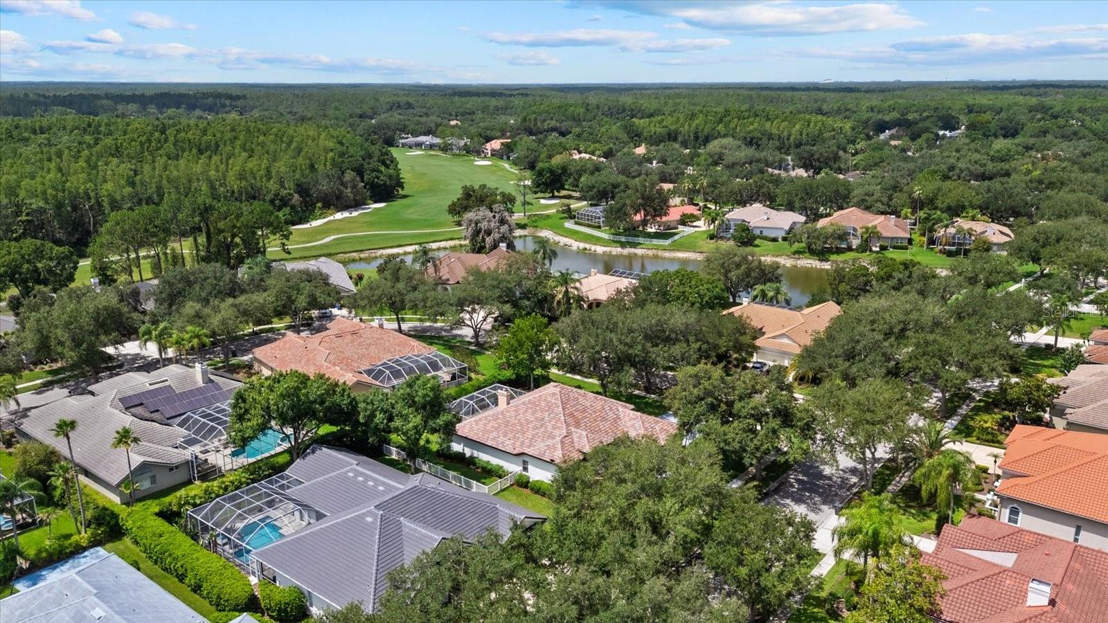 9145 HIGHLAND RIDGE WAY — photo 49