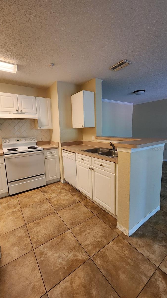 18001 RICHMOND PLACE DR #1033 — photo 4