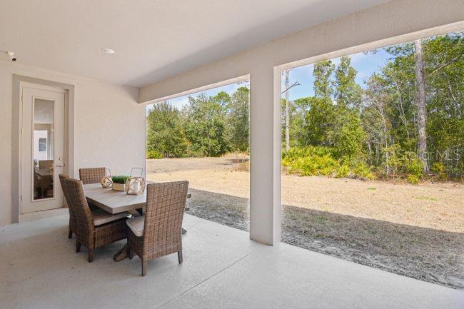 3919 VINO TINTO PL — photo 34