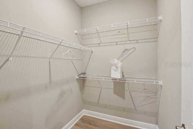 3919 VINO TINTO PL — photo 24