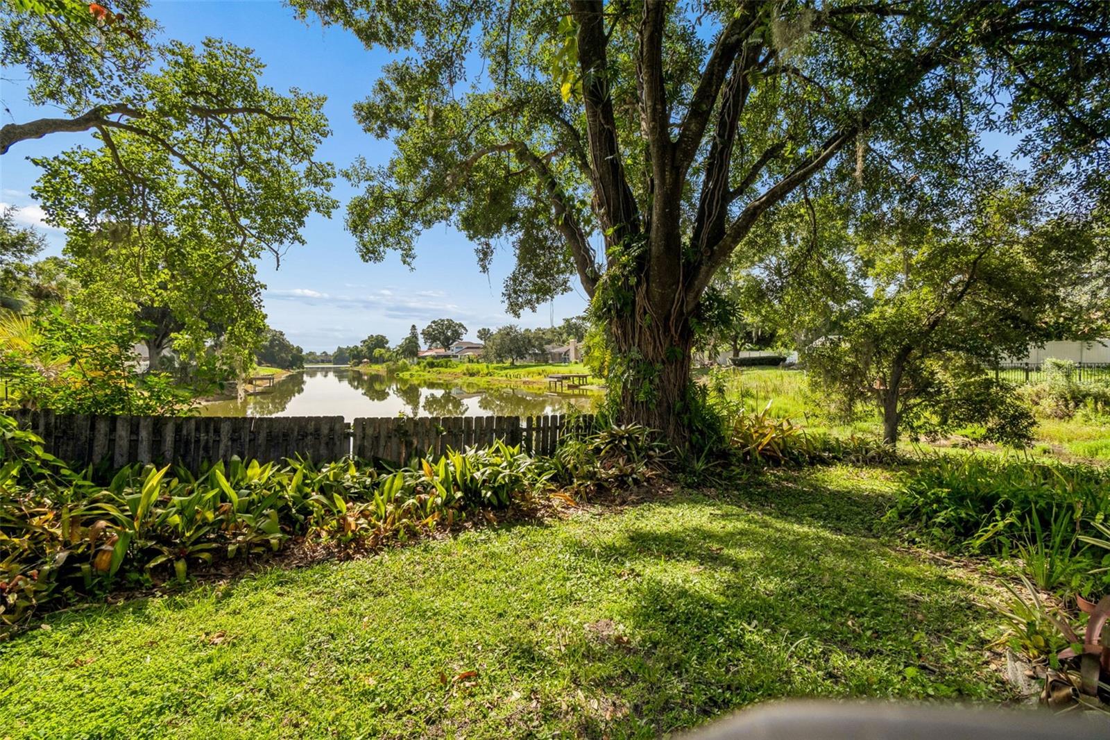 16509 ROUND OAK DR — photo 41