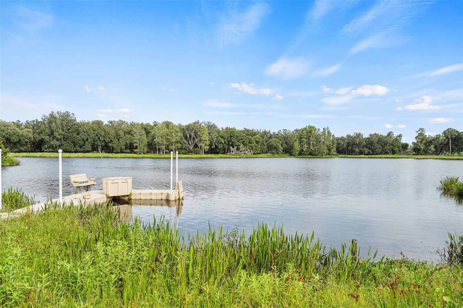 33415 KIEFER RD — photo 34