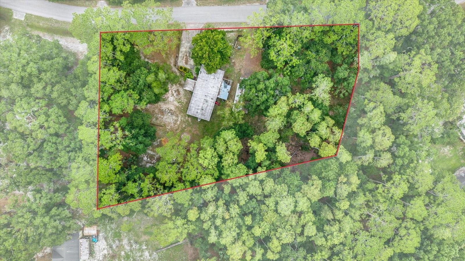6947 ANGUS VALLEY DR — photo 4