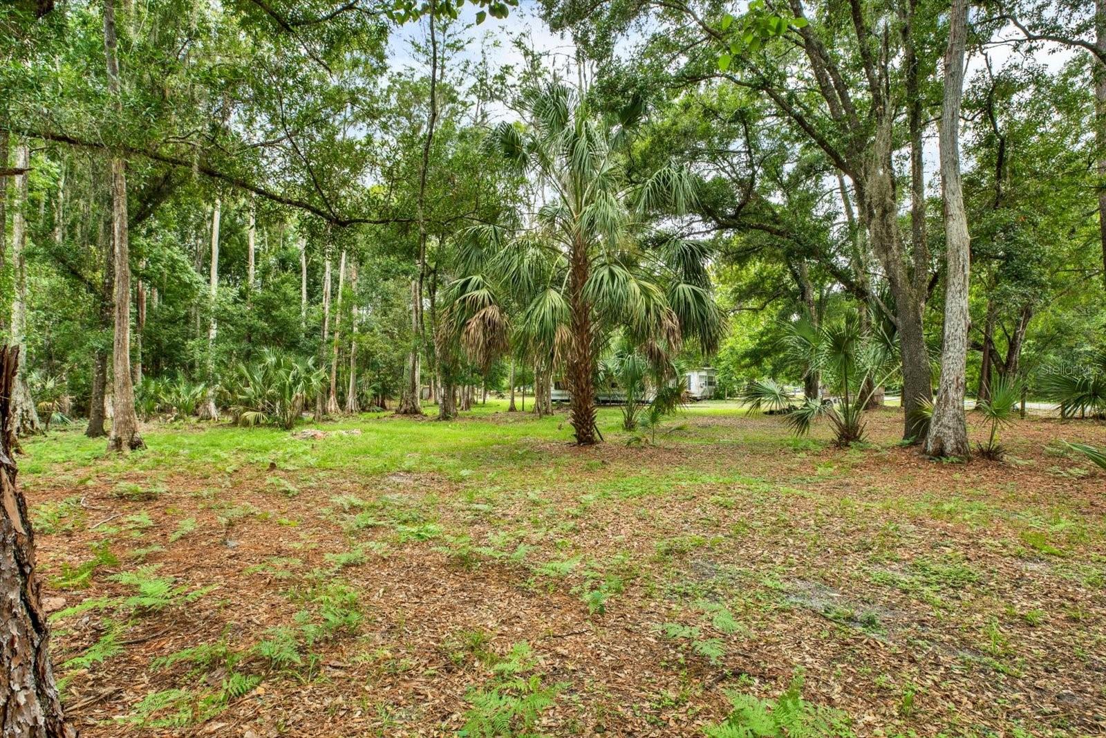 6947 ANGUS VALLEY DR — photo 10