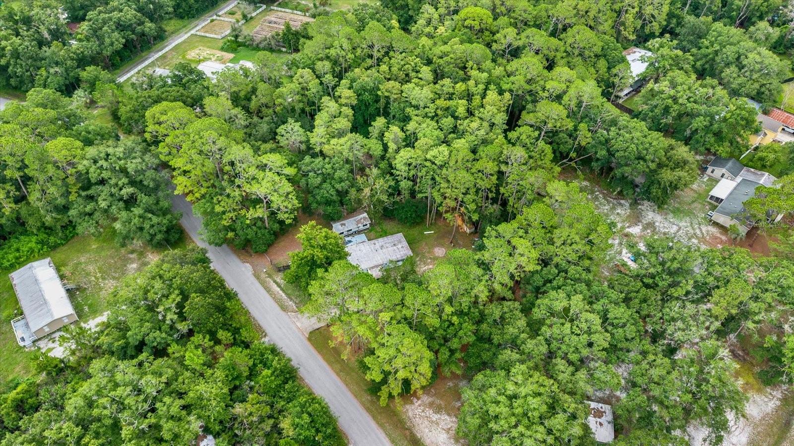 6947 ANGUS VALLEY DR — photo 12