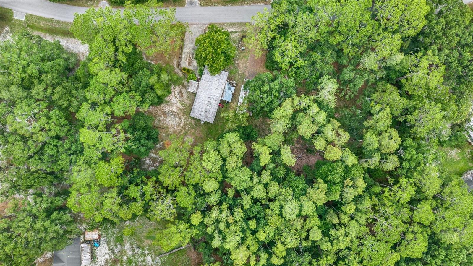 6947 ANGUS VALLEY DR — photo 5