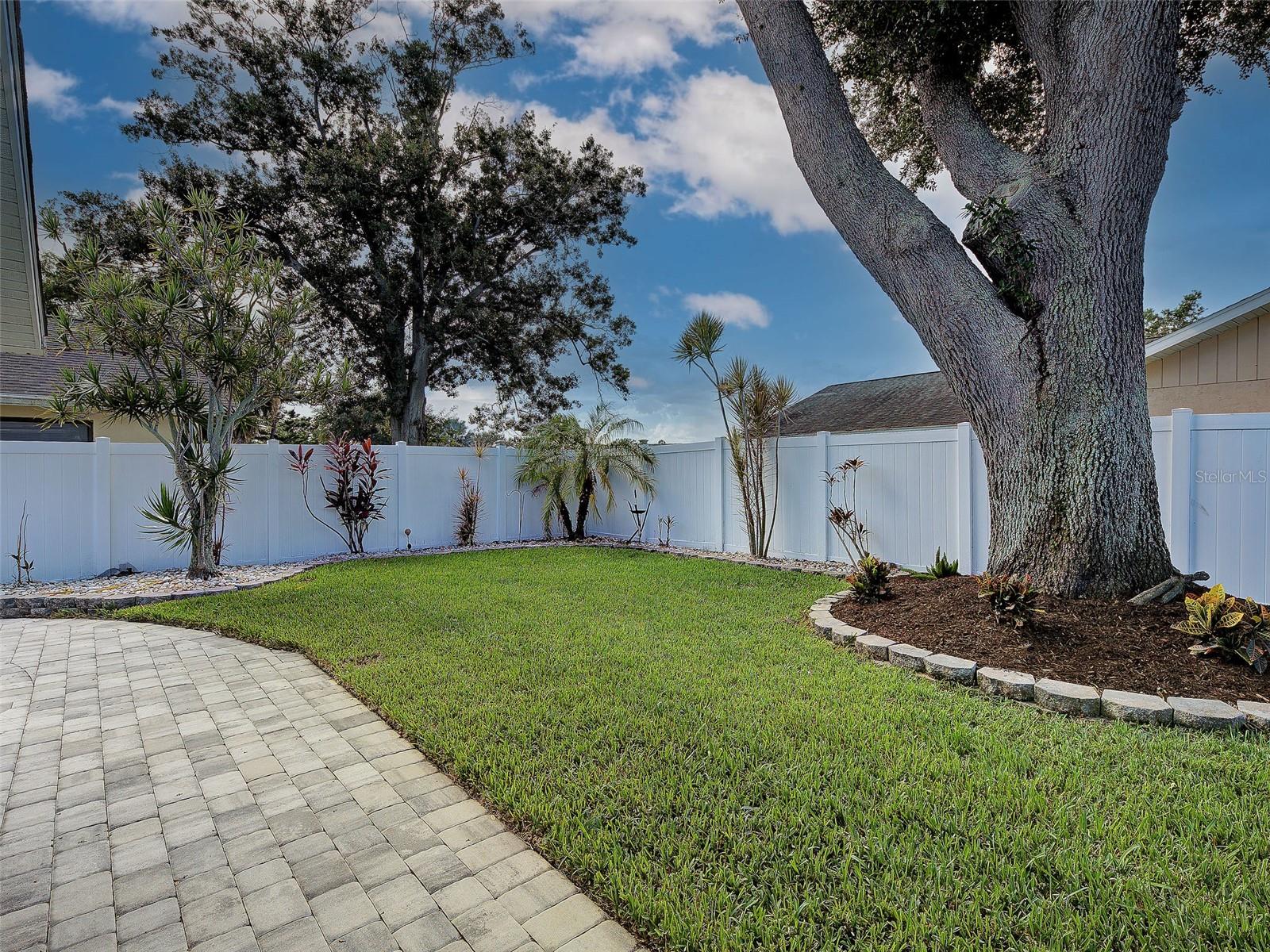 1439 STRADA D ORO — photo 8