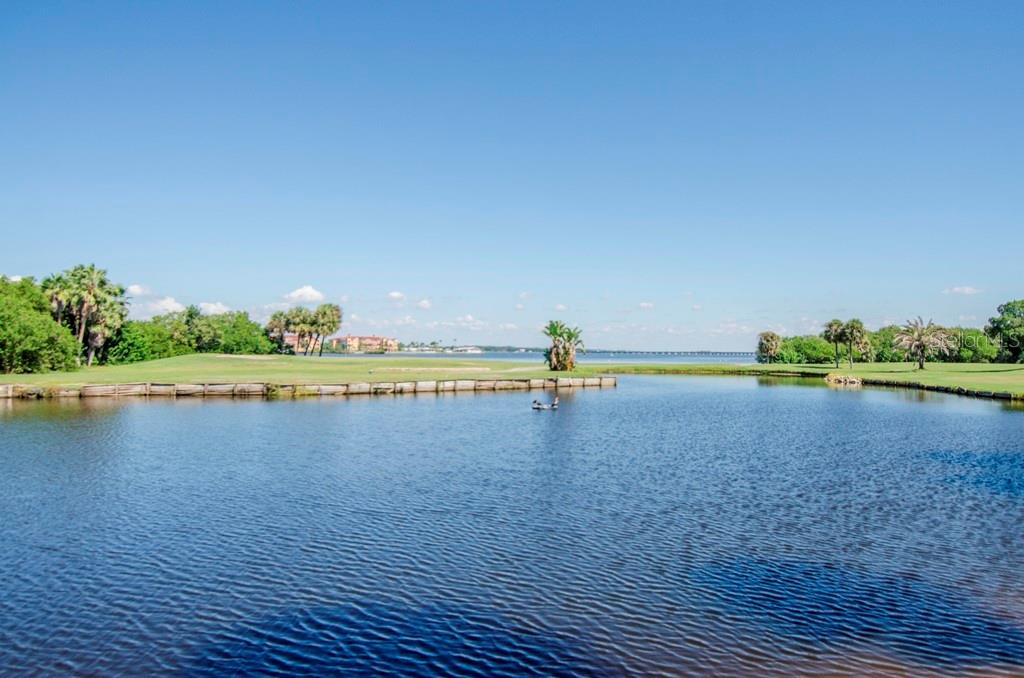 3300 COVE CAY DR #1C — photo 26