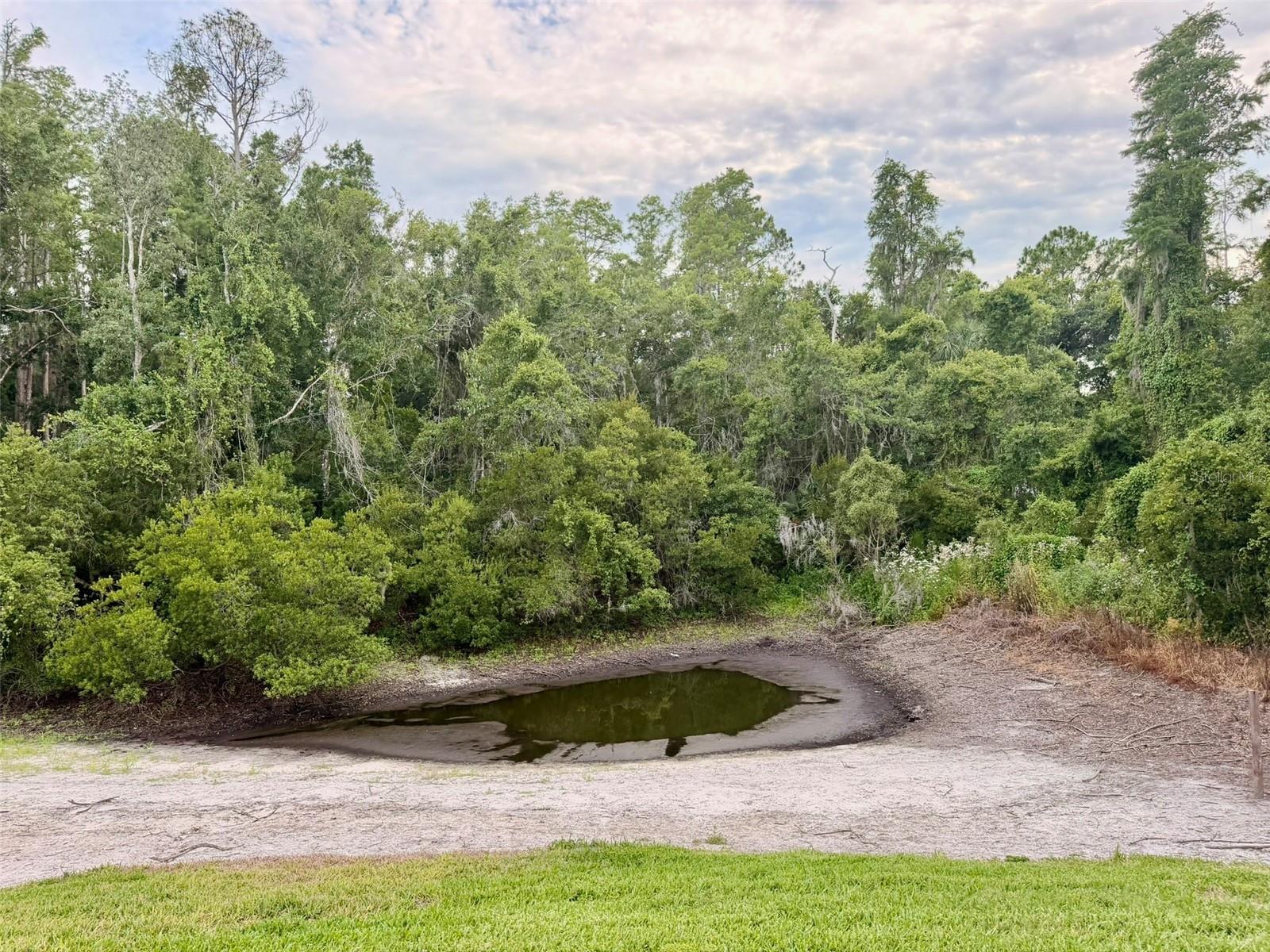 Home in WESLEY CHAPEL — photo 24