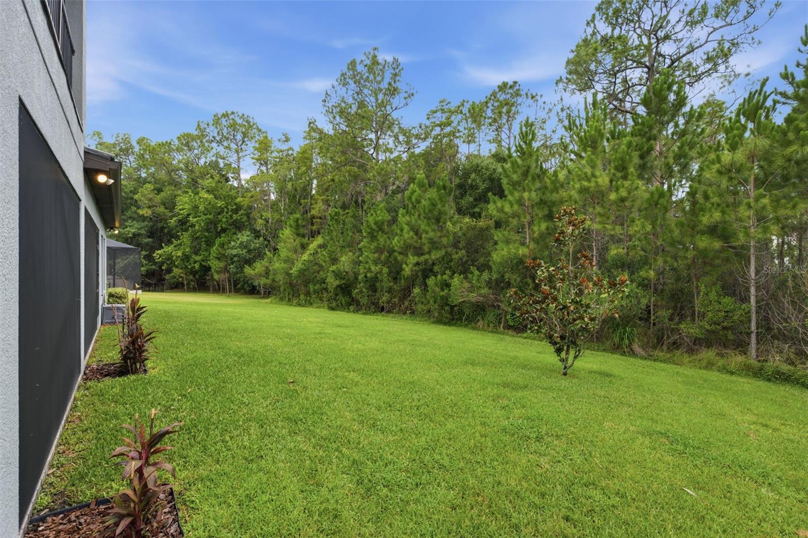 4441 ALBERO PL — photo 60