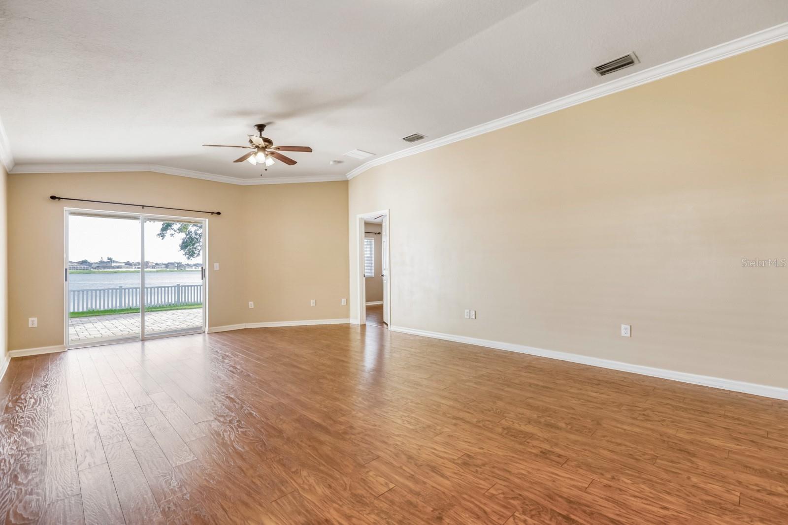 31209 MASENA DR — photo 6
