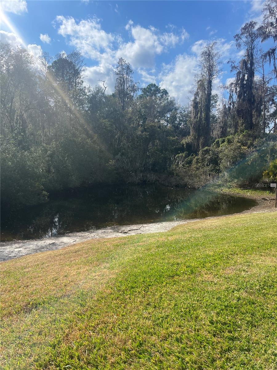Home in WESLEY CHAPEL — photo 15