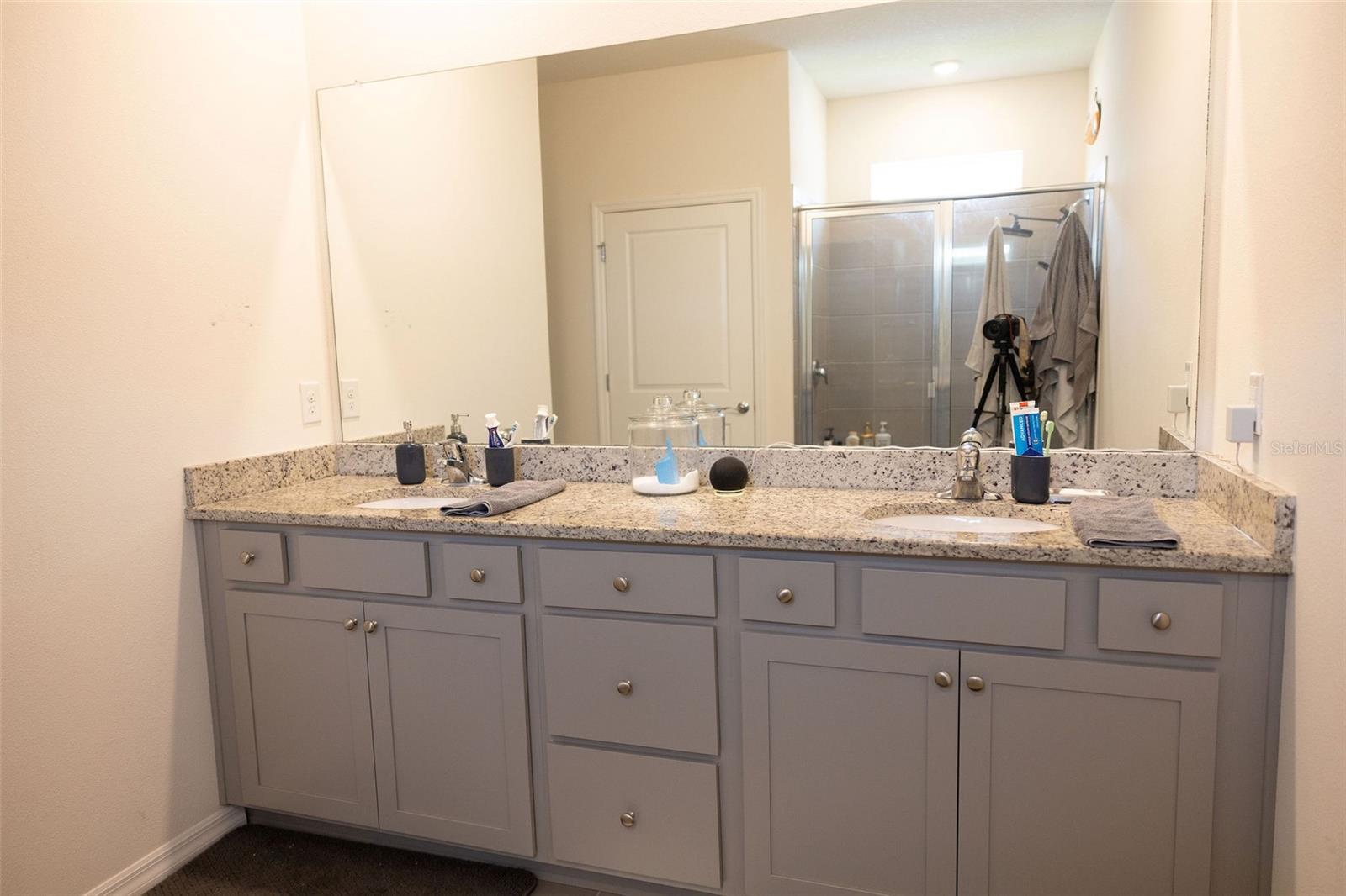 3852 MOSSY LIMB CT — photo 21