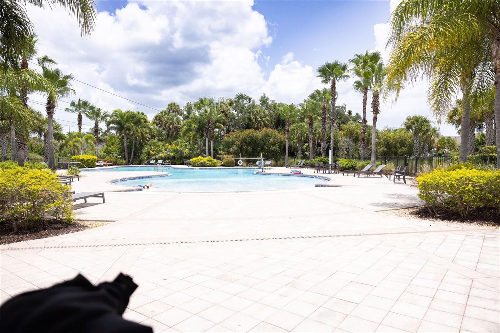 3852 MOSSY LIMB CT — photo 33