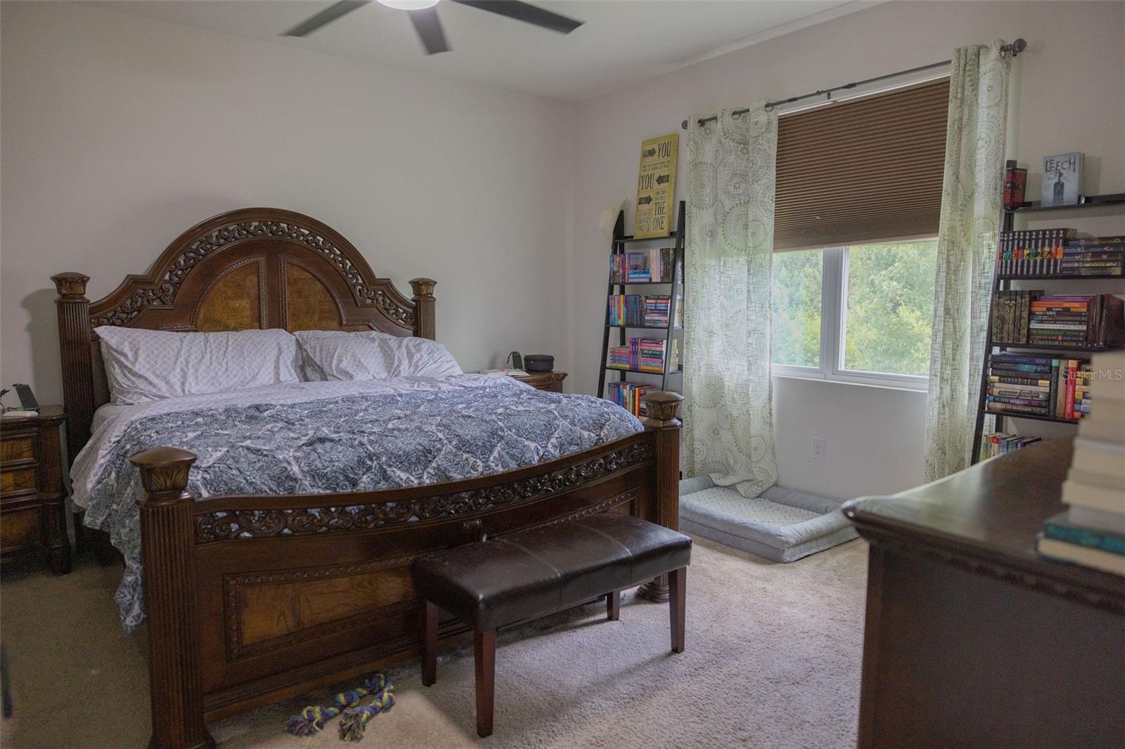 3852 MOSSY LIMB CT — photo 15