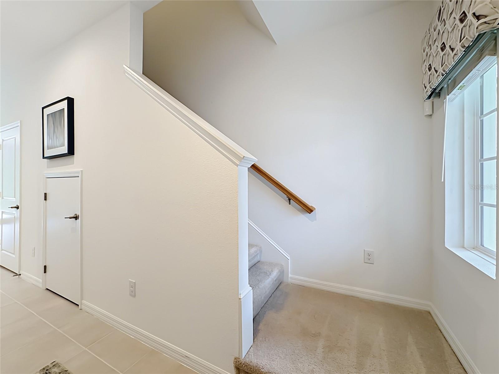 8429 LUNAR SKYE ST — photo 20