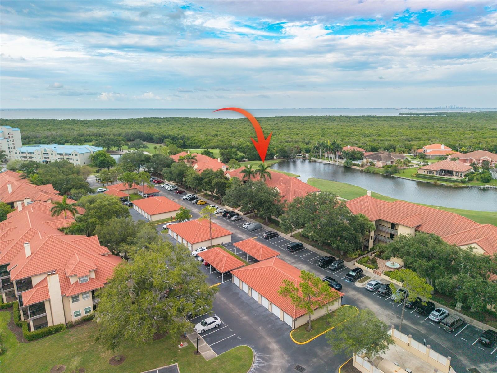 2400 FEATHER SOUND DR #914 — photo 33