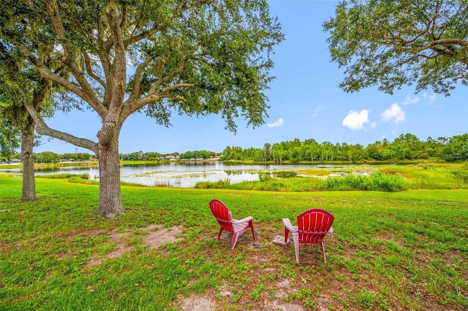13953 JACOBSON DR — photo 3
