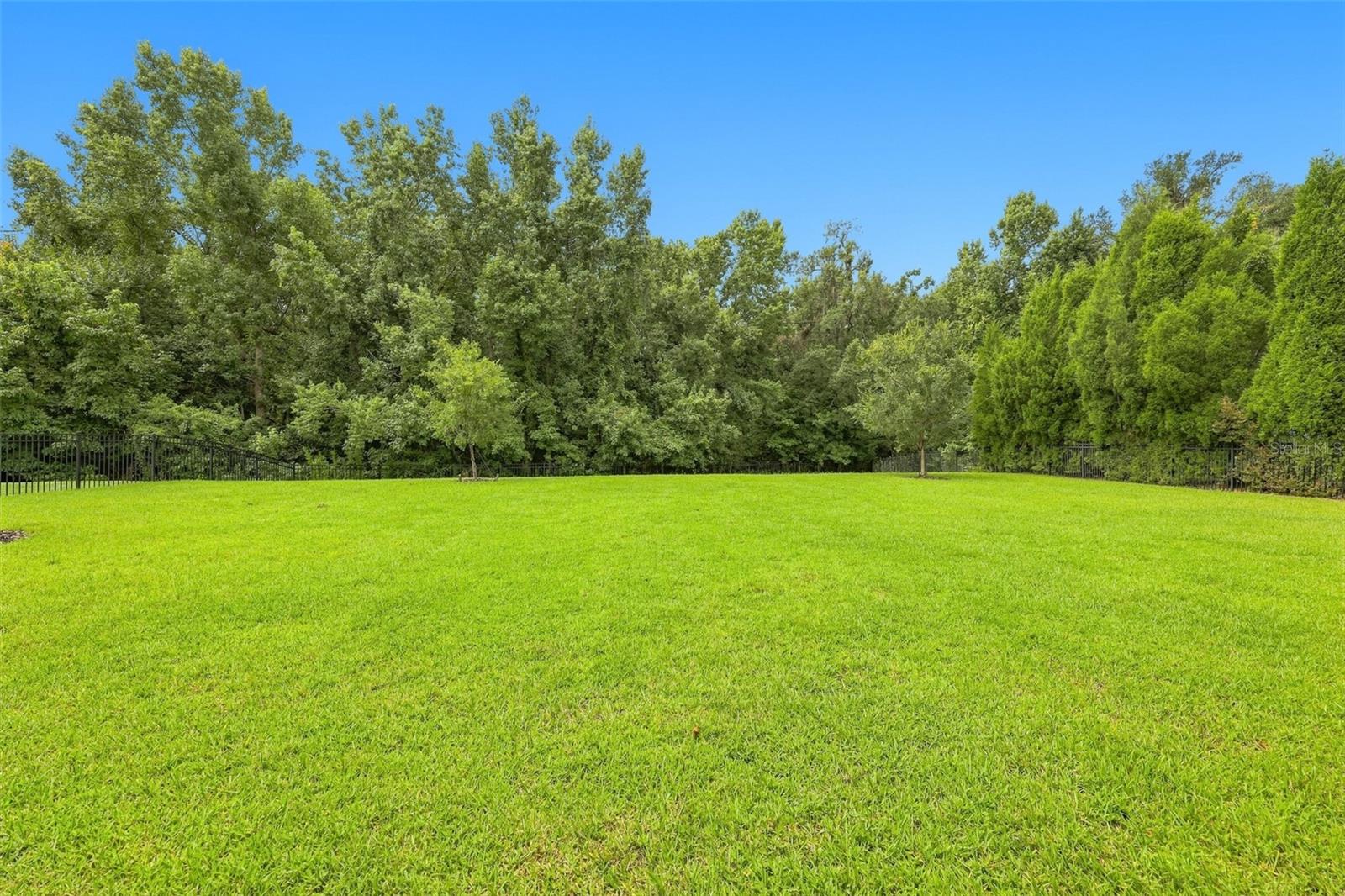 3225 CORDOBA RANCH BLVD — photo 60