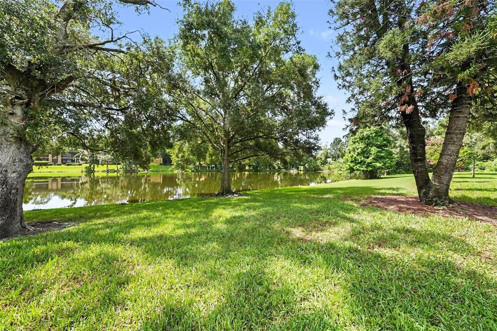 11805 SKYLAKE PL #C — photo 28