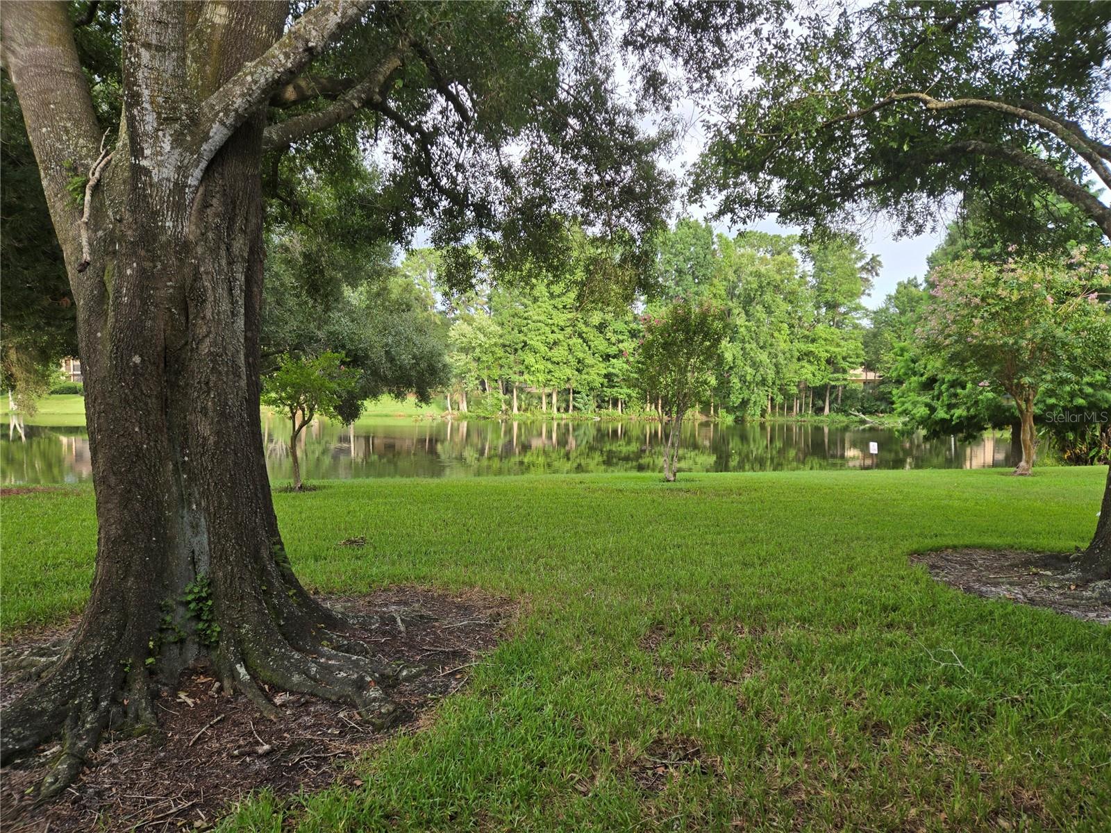 11805 SKYLAKE PL #C — photo 2