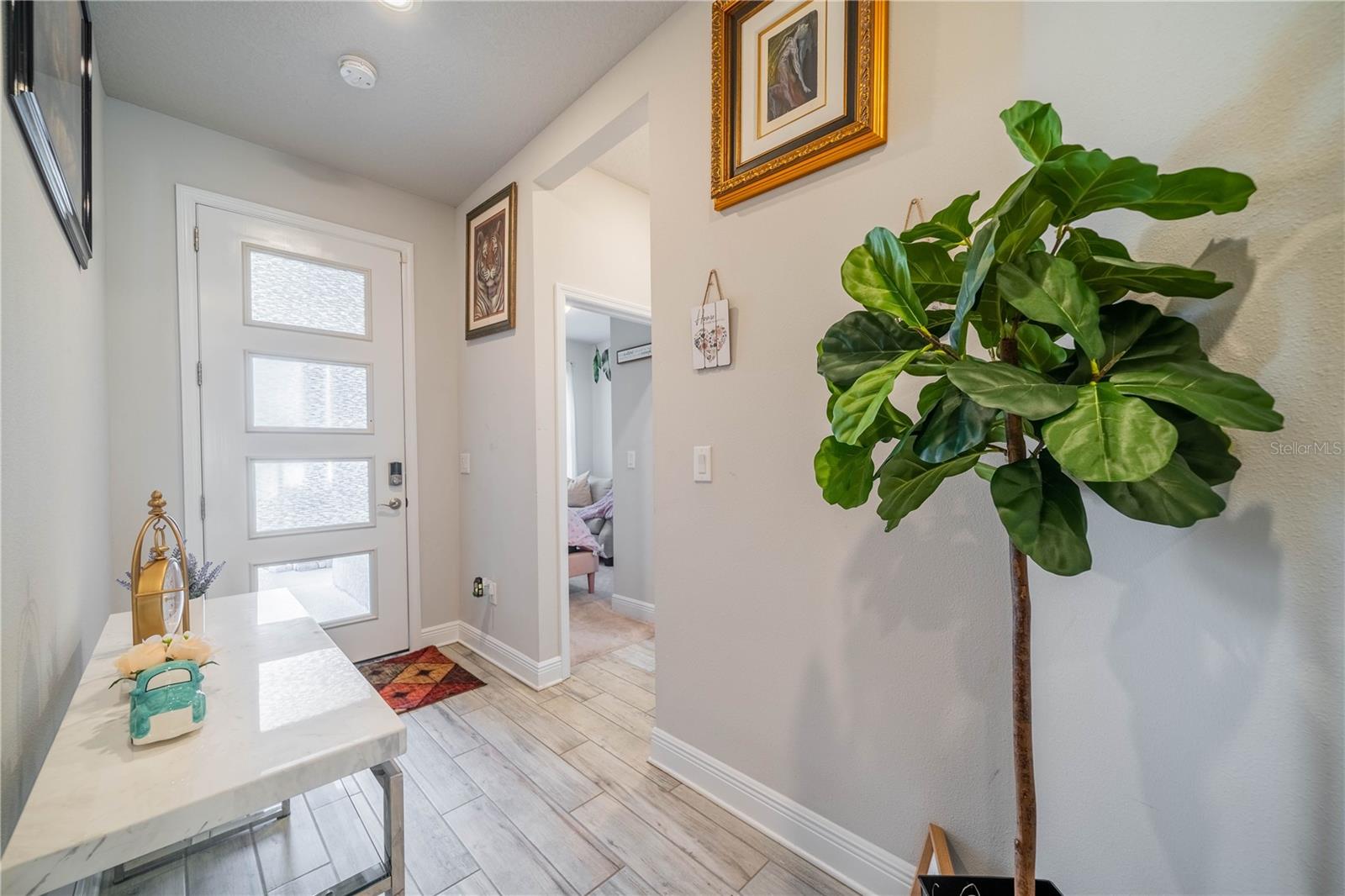 5538 SPANISH MOSS CV — photo 23