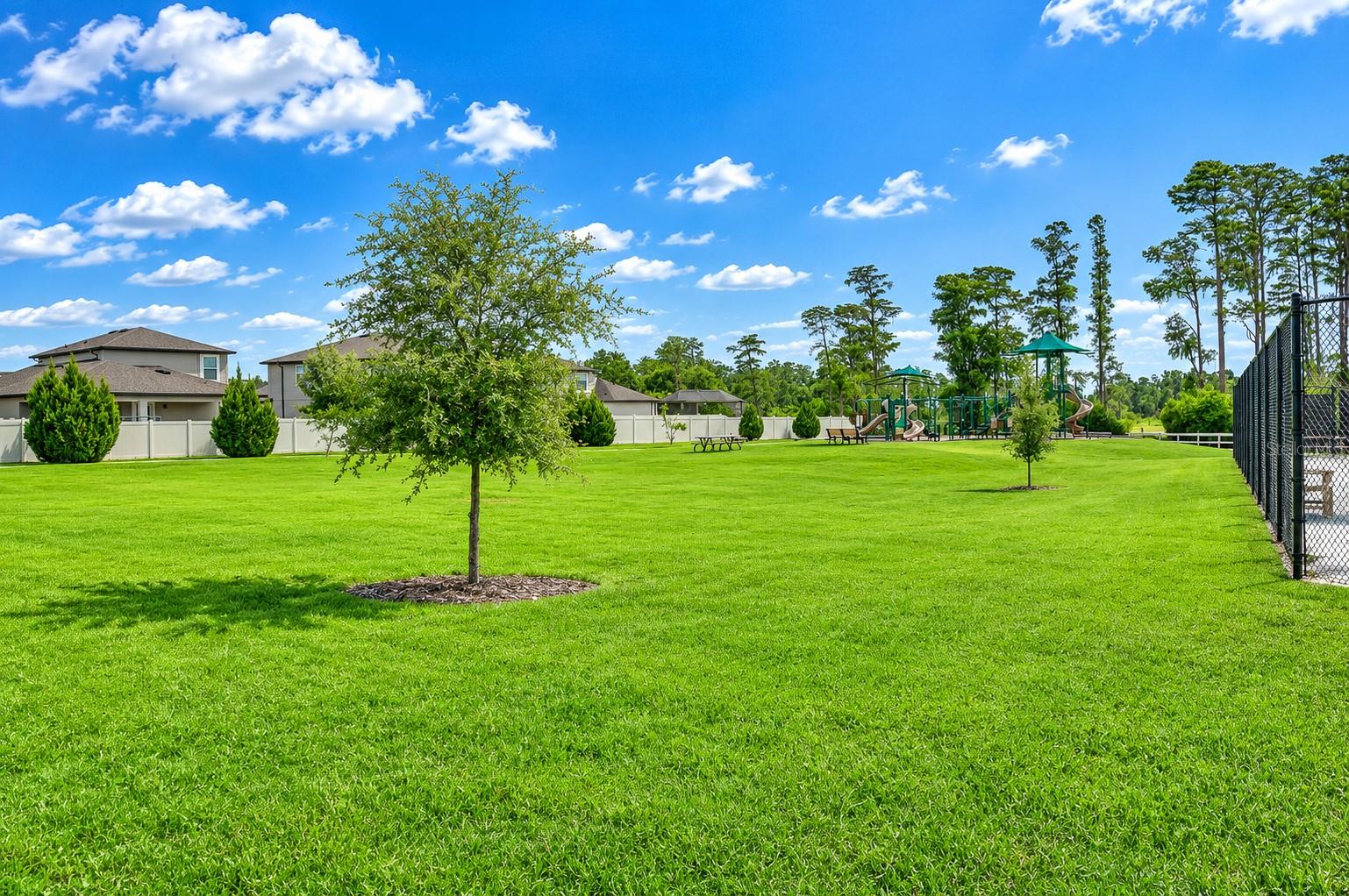 1621 LEAF FLOWER LN — photo 59