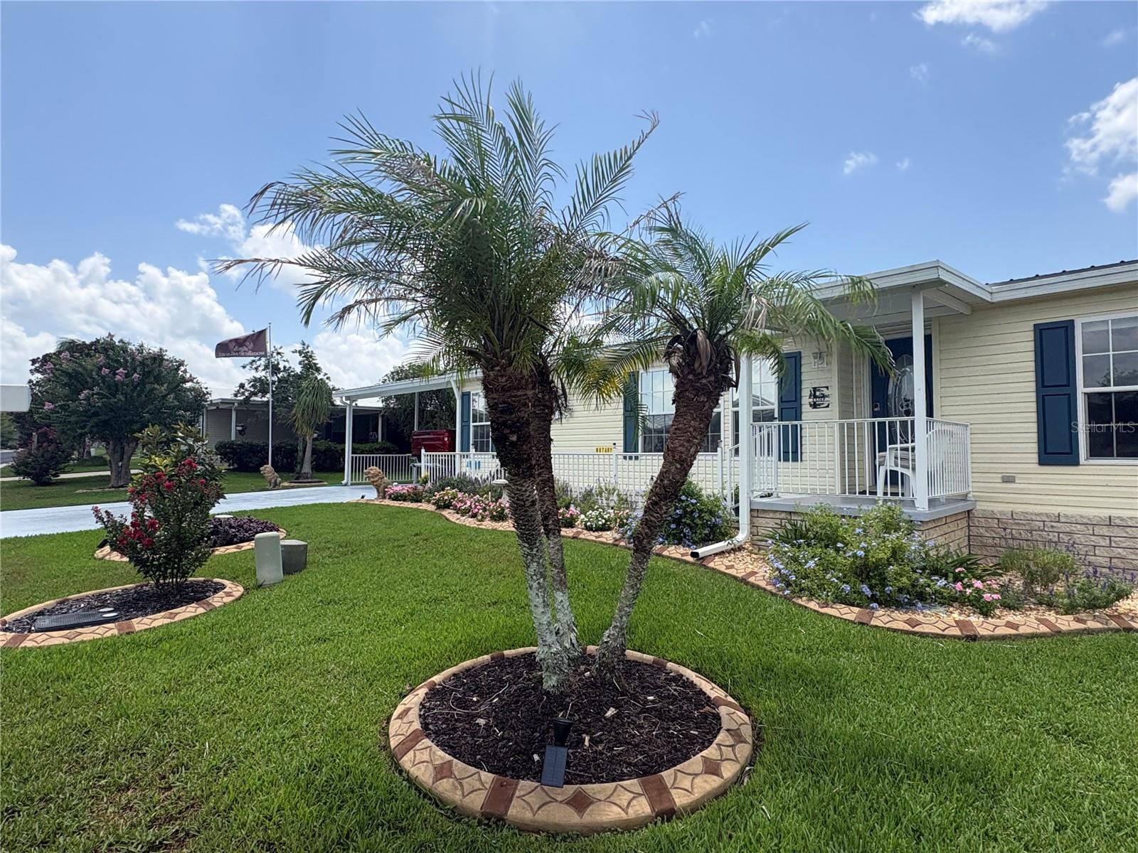 37602 LILLY BEA AVE — photo 49