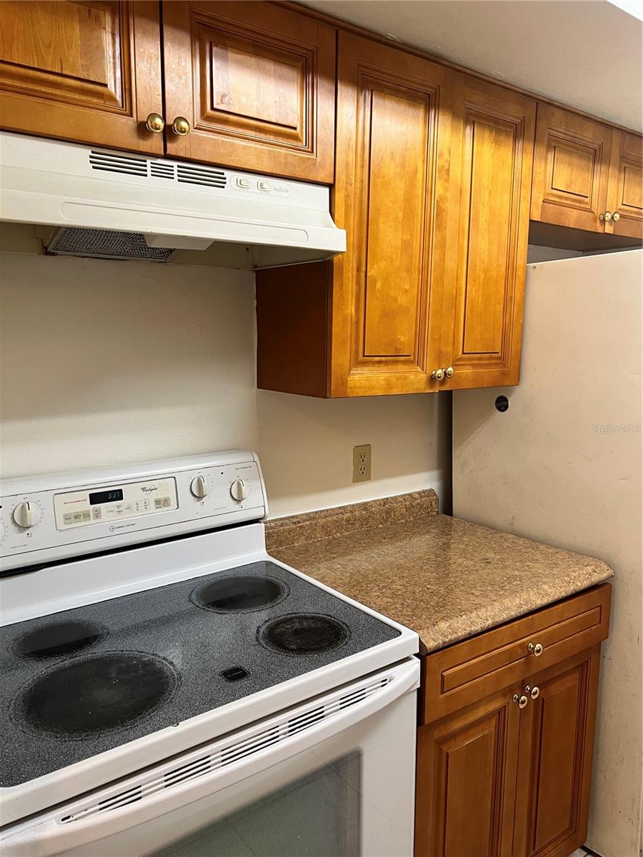 14308 HANGING MOSS CIR #102 — photo 12