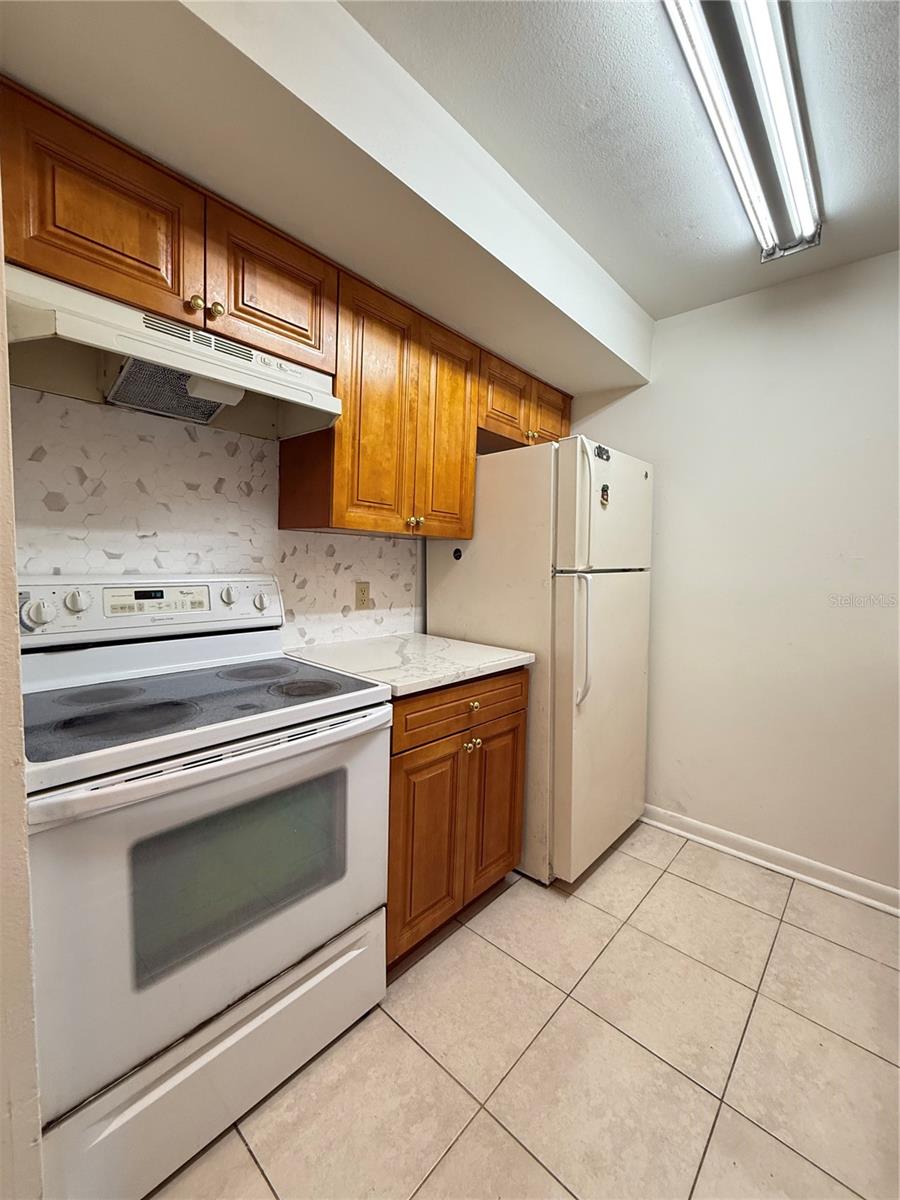 14308 HANGING MOSS CIR #102 — photo 15