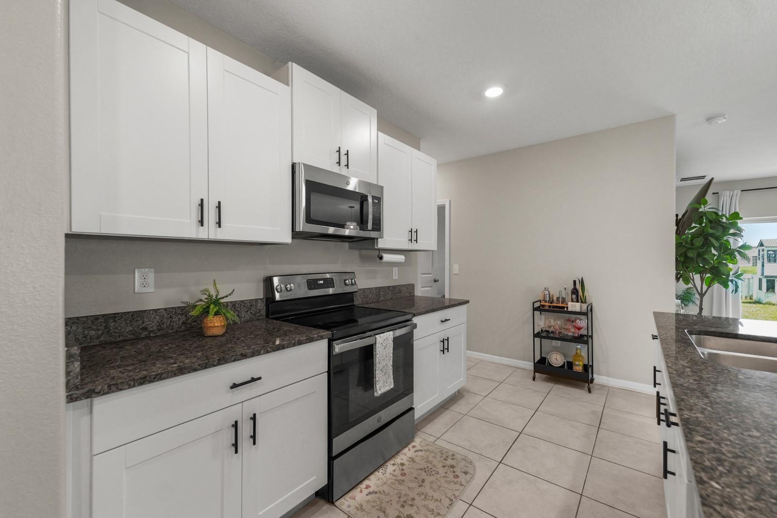 31575 BARREL WAVE WAY — photo 12