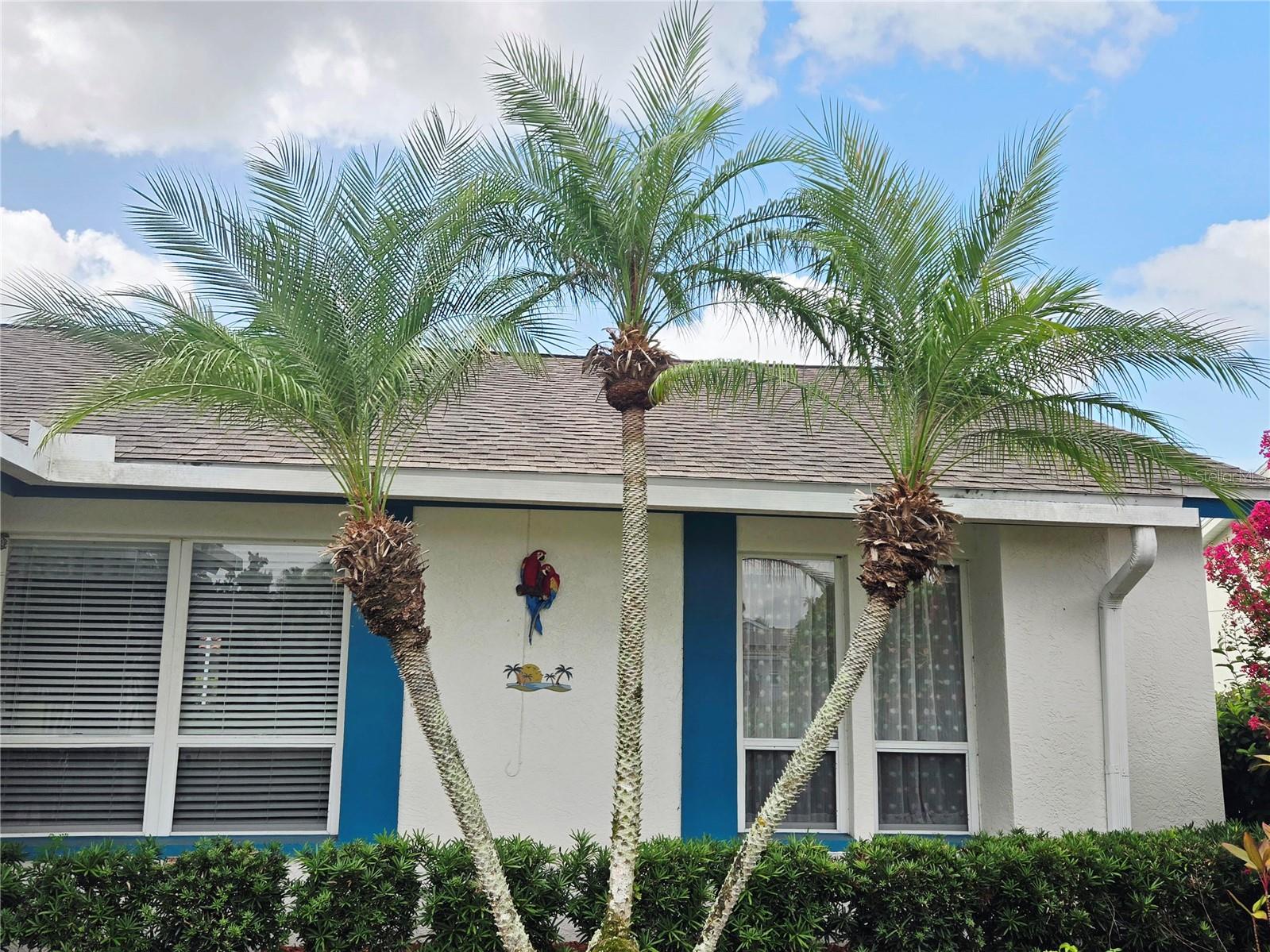 4236 PRO AM AVE E — photo 68