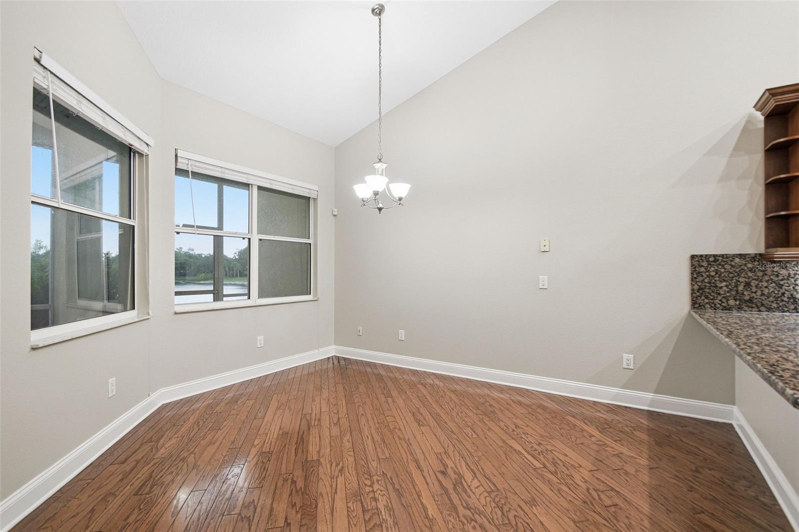 9009 RIVERVIEW DR — photo 16
