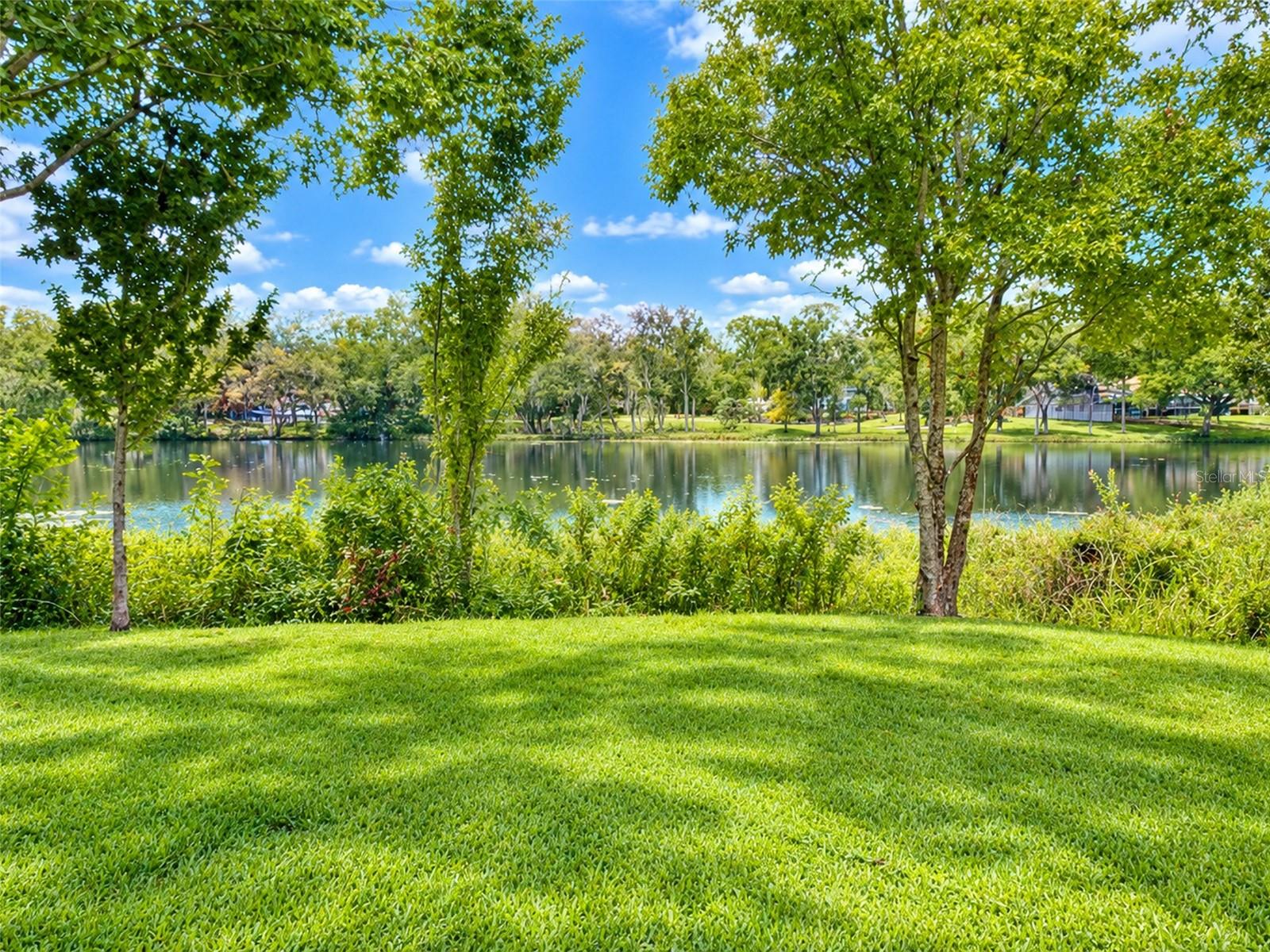 11861 RAINTREE DR #65 — photo 4