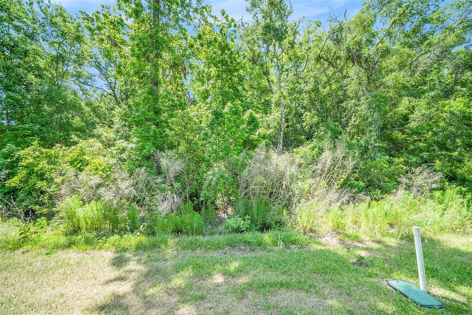 12264 GRIZZLY LN — photo 27